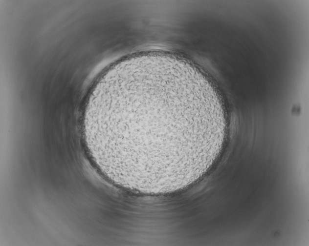 X0000113071404200910091156