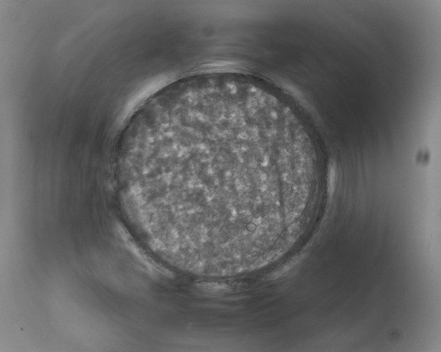 X0000113071405200910091156