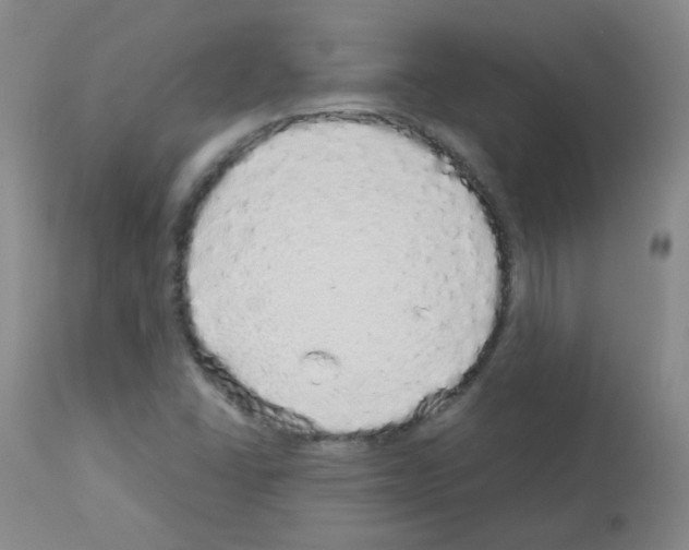 X0000113071406200910091156
