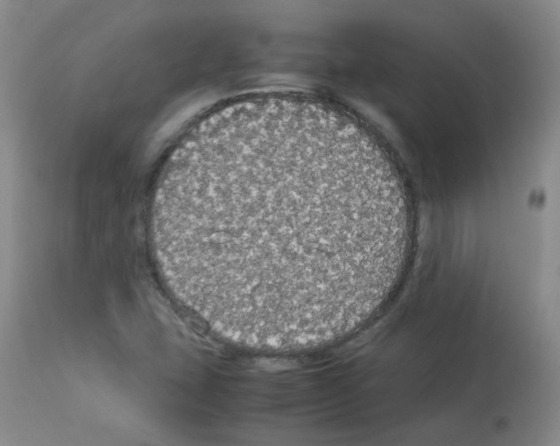X0000113071407200910091156