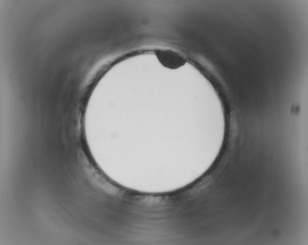 X0000113071408200910091156