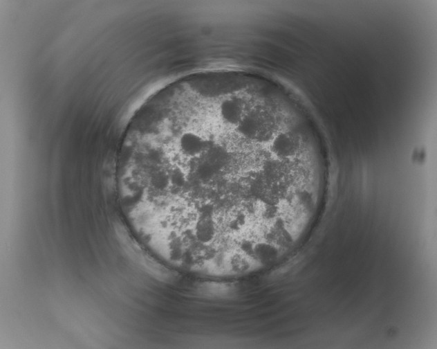 X0000113071409200910091156