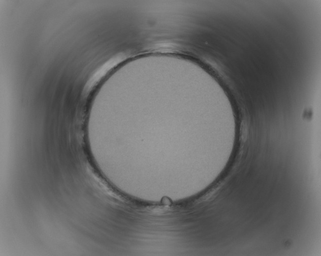 X0000113071410200910091156
