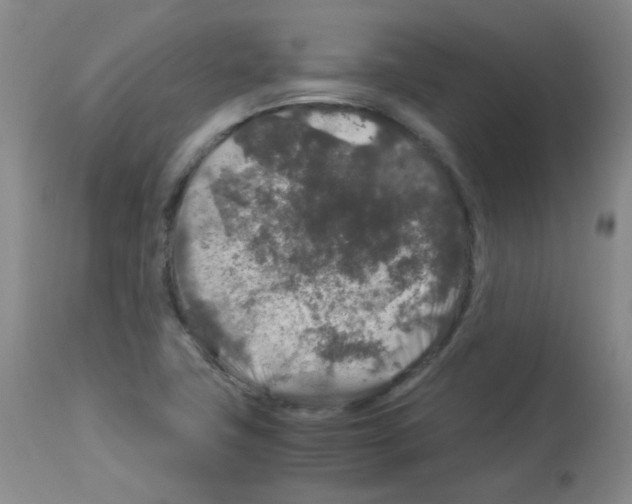 X0000113071411200910091156