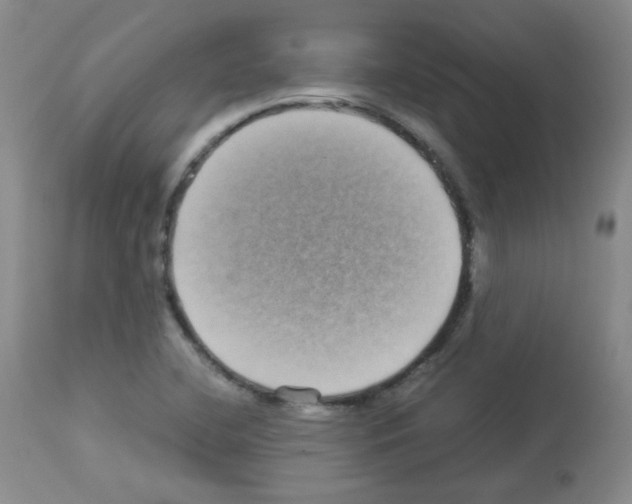 X0000113071412200910091156