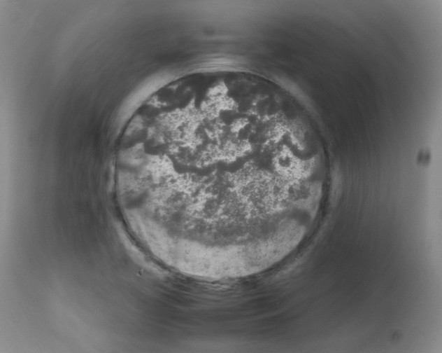 X0000113071413200910091156