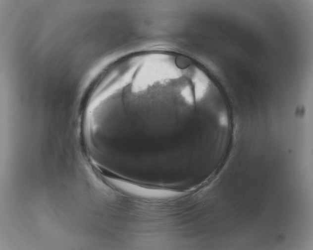 X0000113071414200910091156