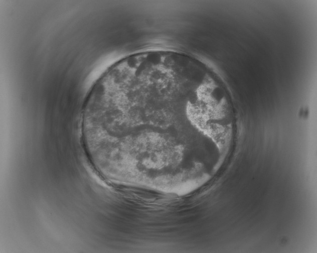 X0000113071415200910091156