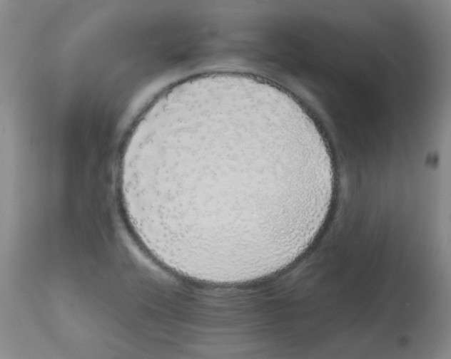 X0000113071416200910091156