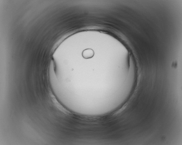 X0000113071417200910091156