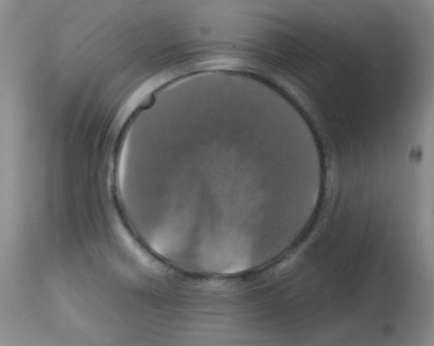 X0000113071418200910091156
