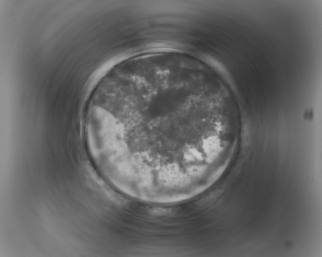 X0000113071419200910091156