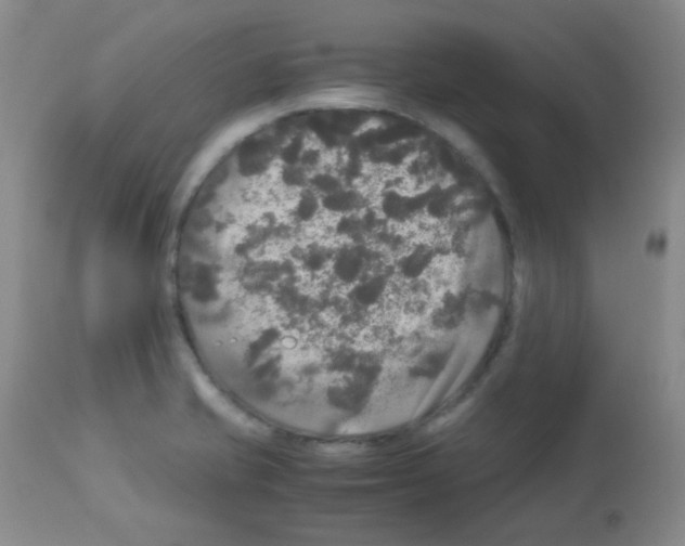 X0000113071421200910091156