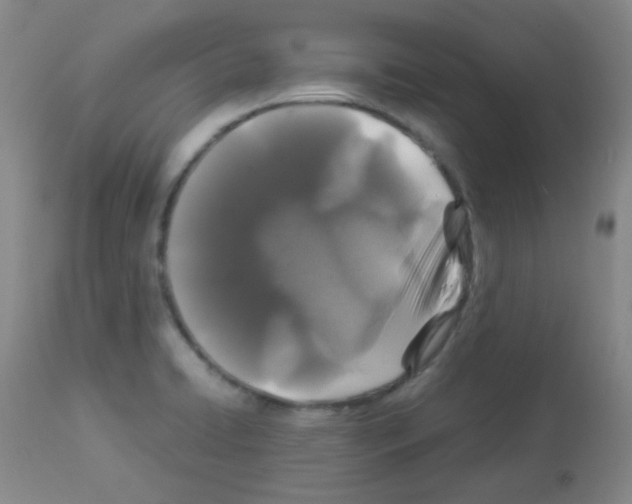 X0000113071422200910091156
