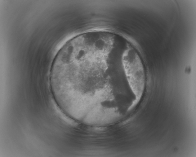 X0000113071423200910091157