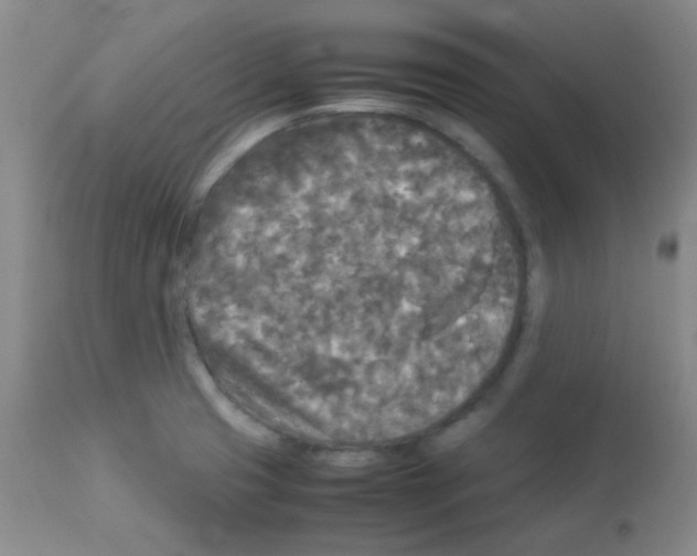 X0000113071425200910091157