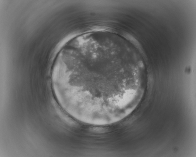 X0000113071427200910091157