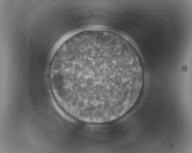 X0000113071429200910091157