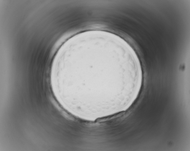 X0000113071432200910091157