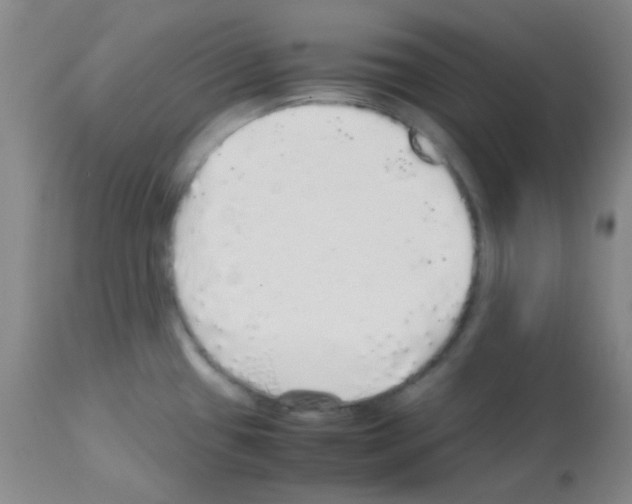 X0000113071433200910091157
