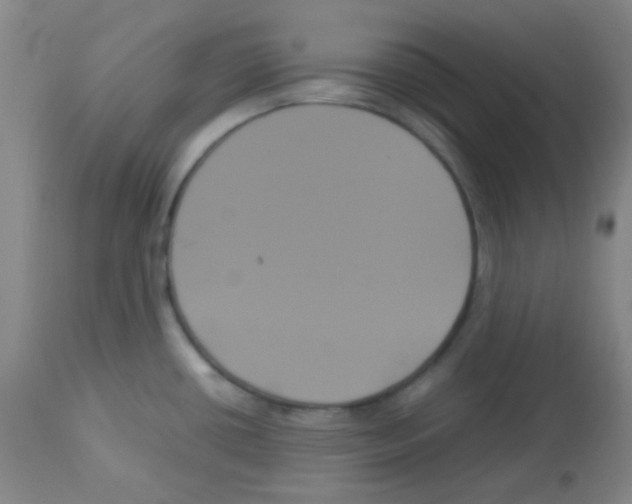 X0000113071434200910091157