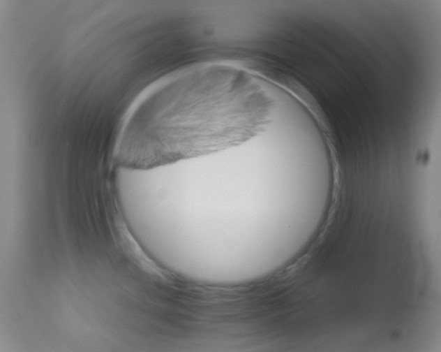 X0000113071436200910091157