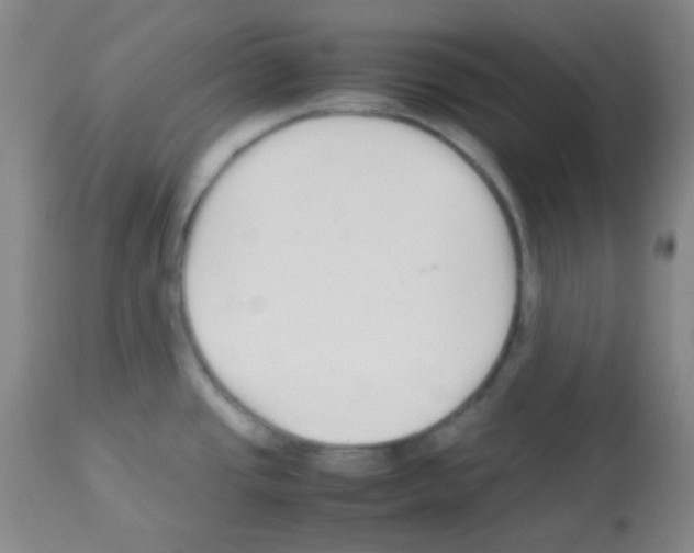 X0000113071437200910091157