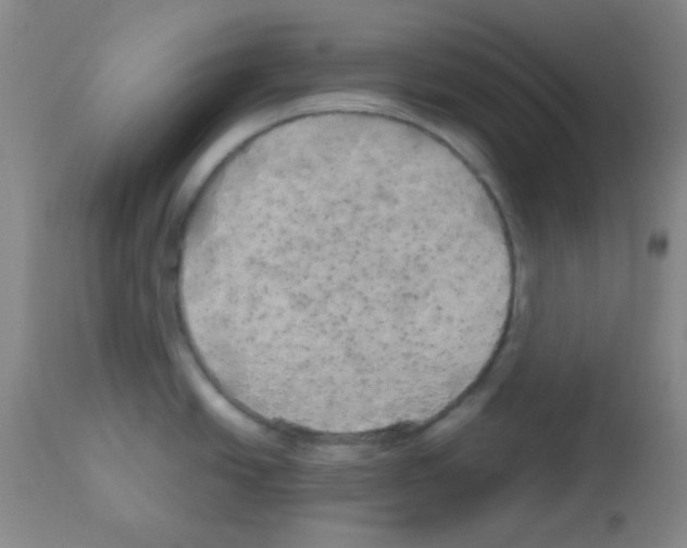 X0000113071438200910091157