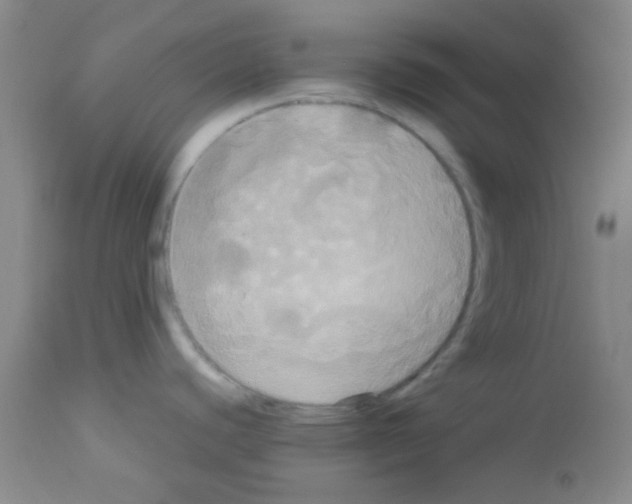 X0000113071440200910091157