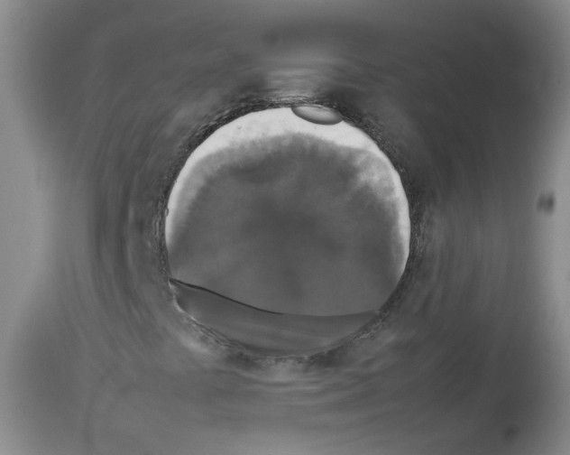 X0000113071441200910091156