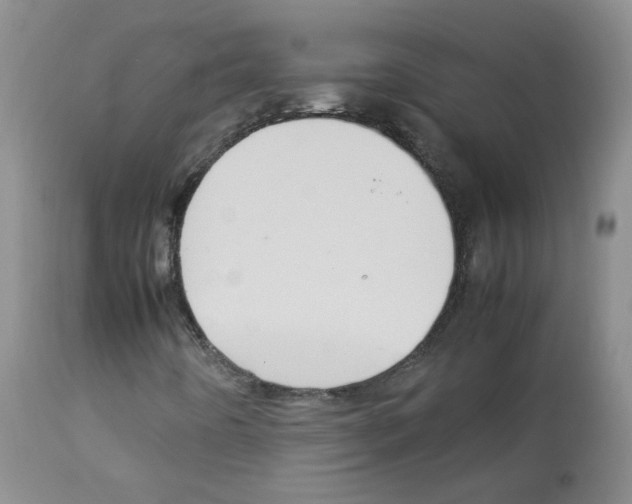 X0000113071442200910091156
