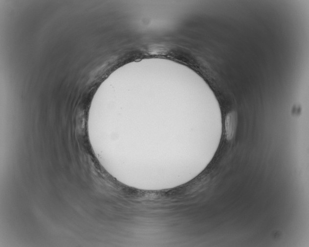 X0000113071443200910091156