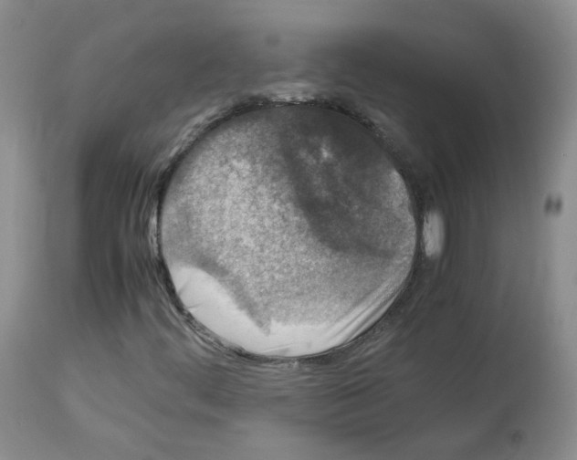 X0000113071444200910091156