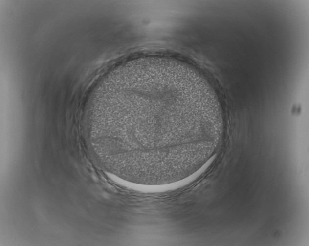 X0000113071445200910091156