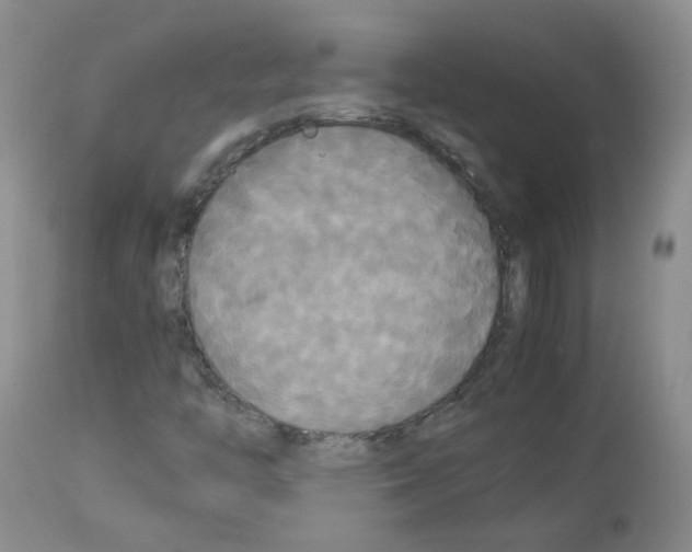X0000113071446200910091156