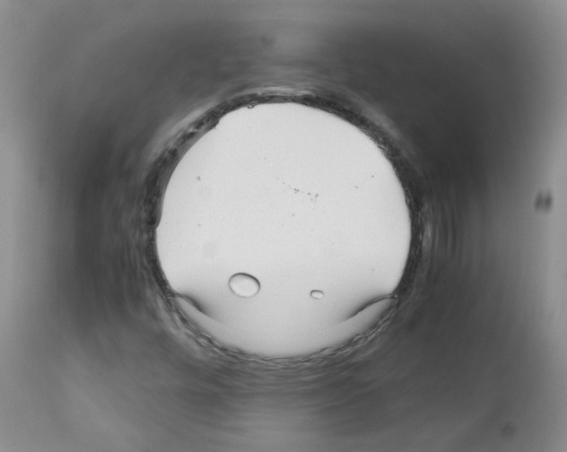 X0000113071448200910091156