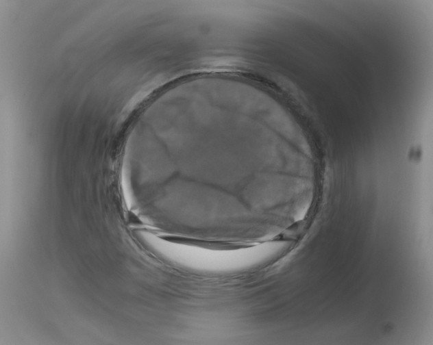 X0000113071449200910091156