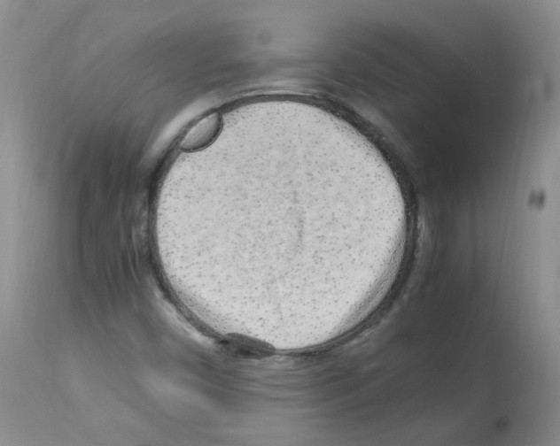 X0000113071450200910091156