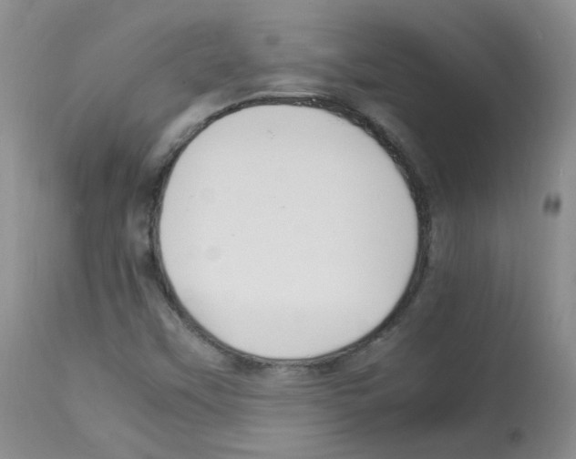 X0000113071451200910091156