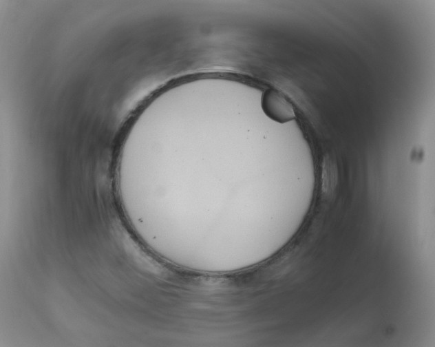 X0000113071452200910091156