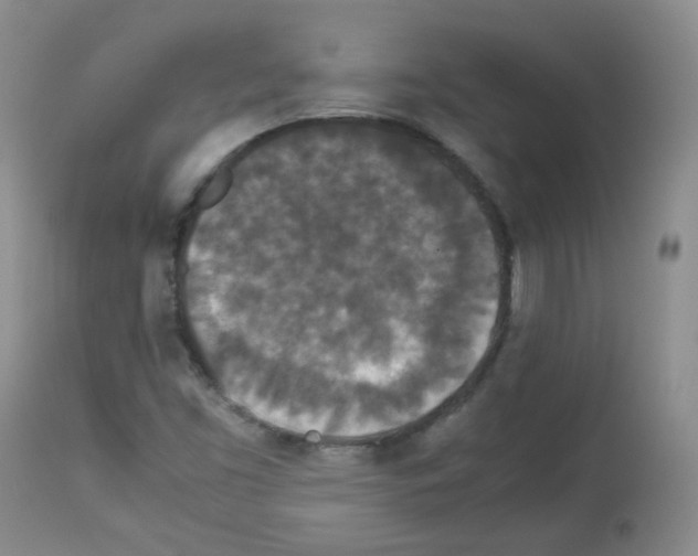 X0000113071453200910091156
