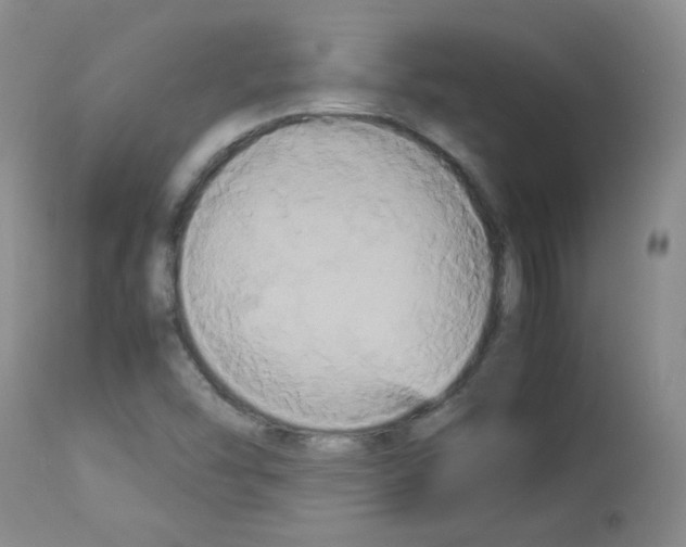 X0000113071454200910091156