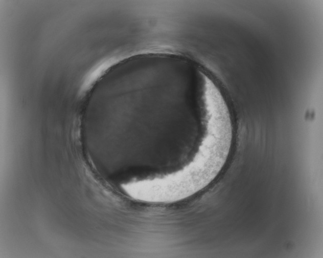 X0000113071455200910091156