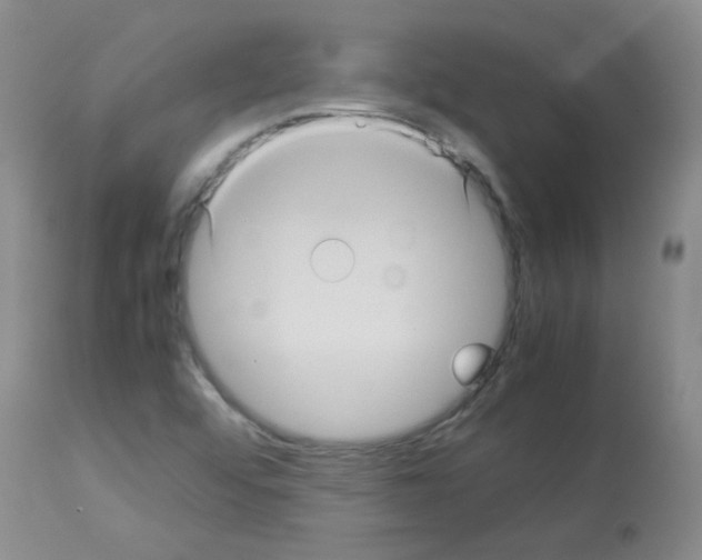 X0000113071456200910091156