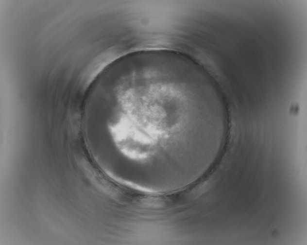 X0000113071457200910091156