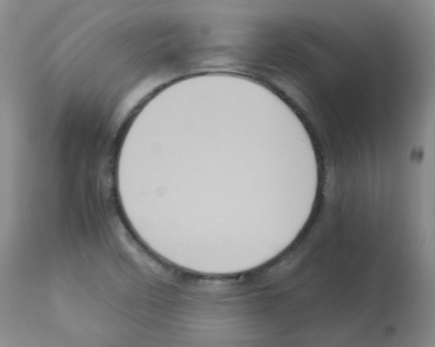X0000113071458200910091156