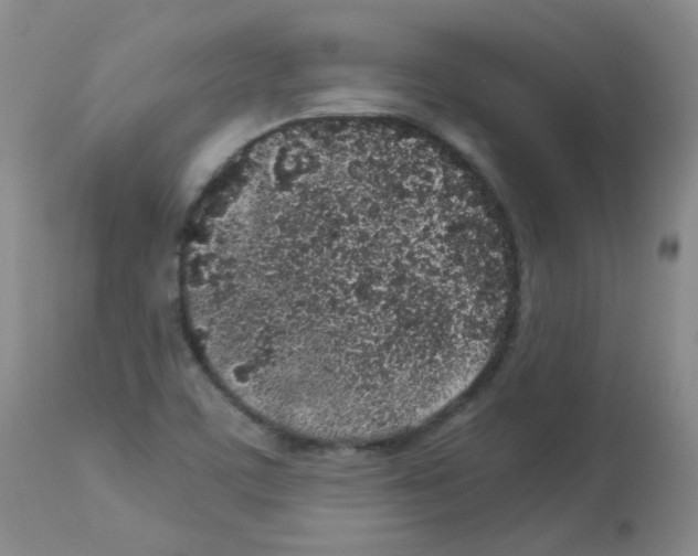 X0000113071459200910091156
