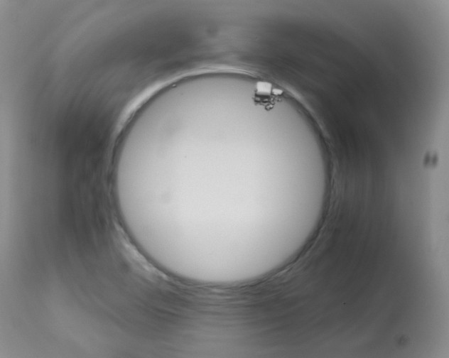 X0000113071460200910091156