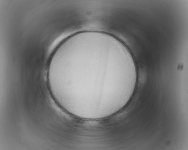 X0000113071462200910091156