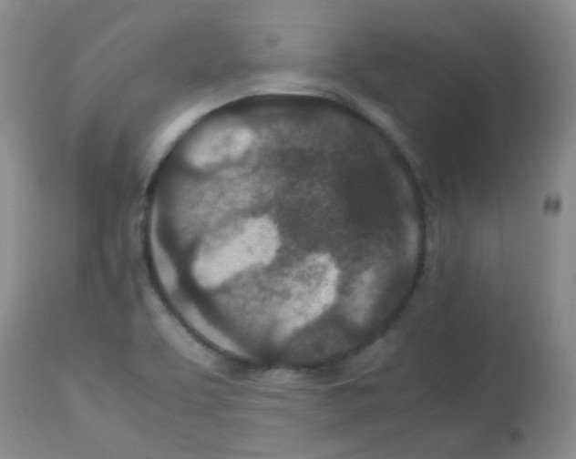 X0000113071463200910091156